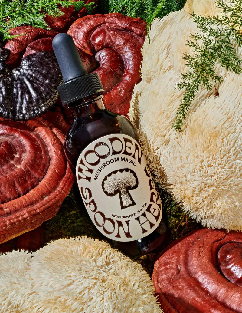 Mushroom Magic Tincture by Wooden Spoon Herbs