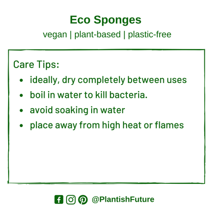Eco Dish Sponge: Plastic-Free & Compostable
