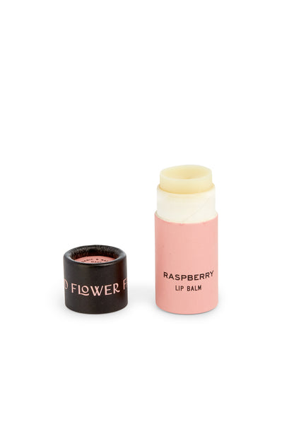 Organic Lip Balm in Biodegradable Tube by Good Flower Farm