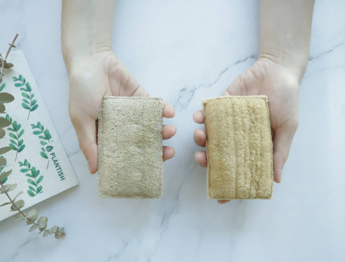 Eco Dish Sponge: Plastic-Free & Compostable