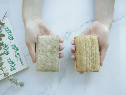 Eco Dish Sponge: Plastic-Free & Compostable