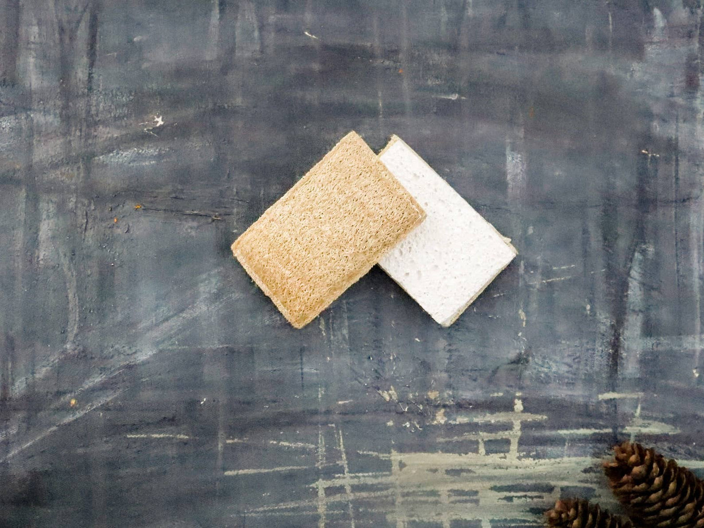 Eco Dish Sponge: Plastic-Free & Compostable