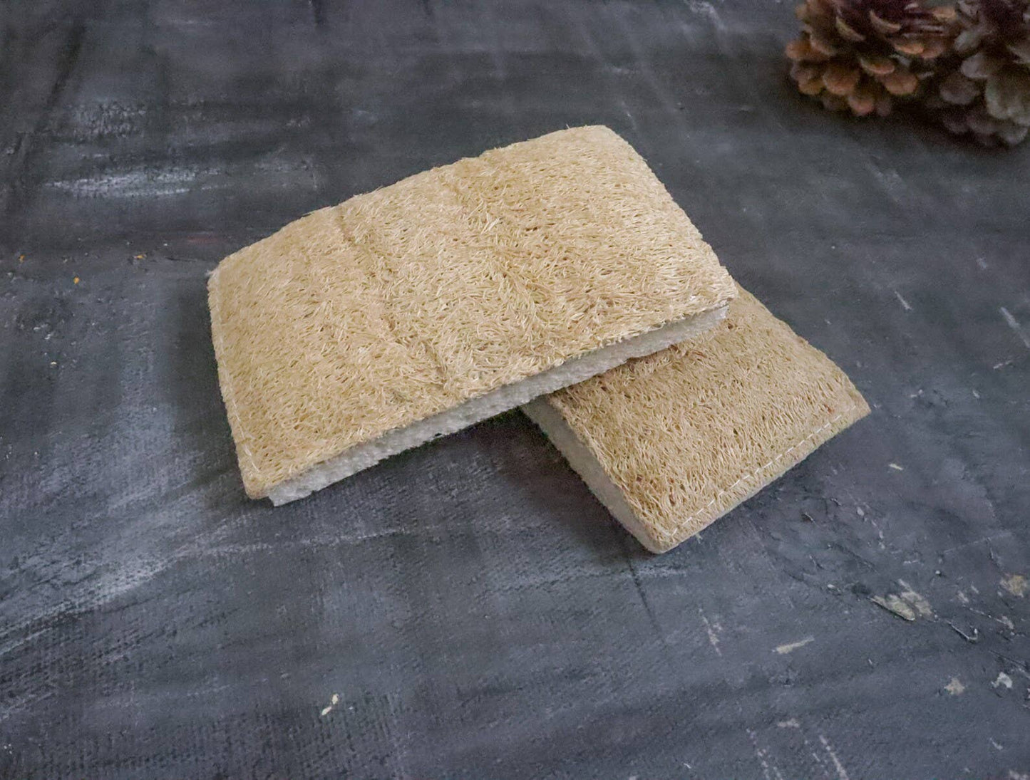 Eco Dish Sponge: Plastic-Free & Compostable