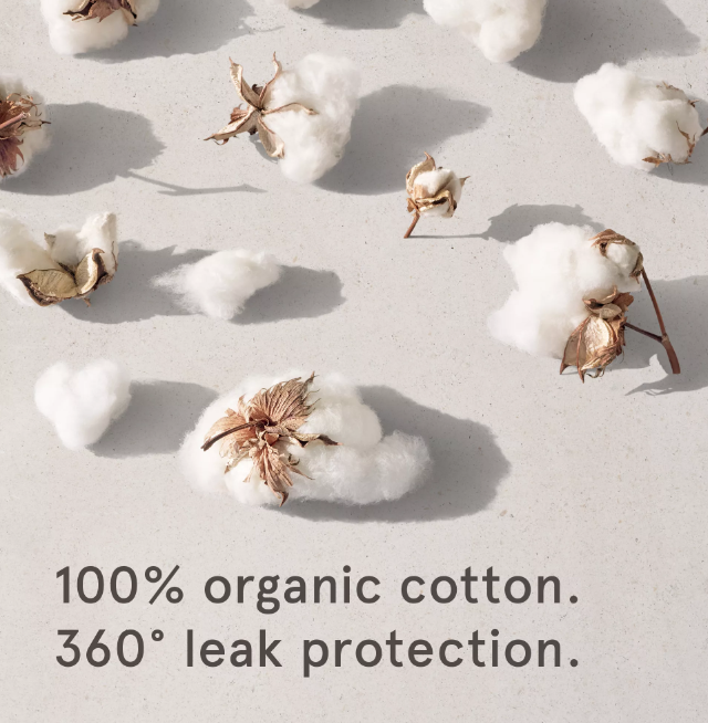 20ct Super Organic Cotton Tampons by Lola