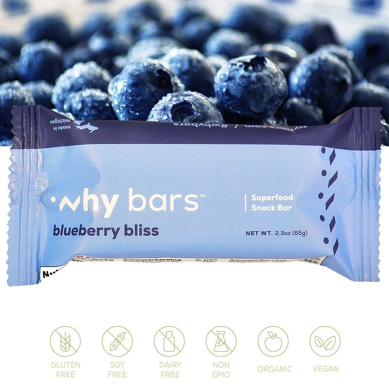 Blueberry Bliss Superfood Snack Bar: Gluten-Free