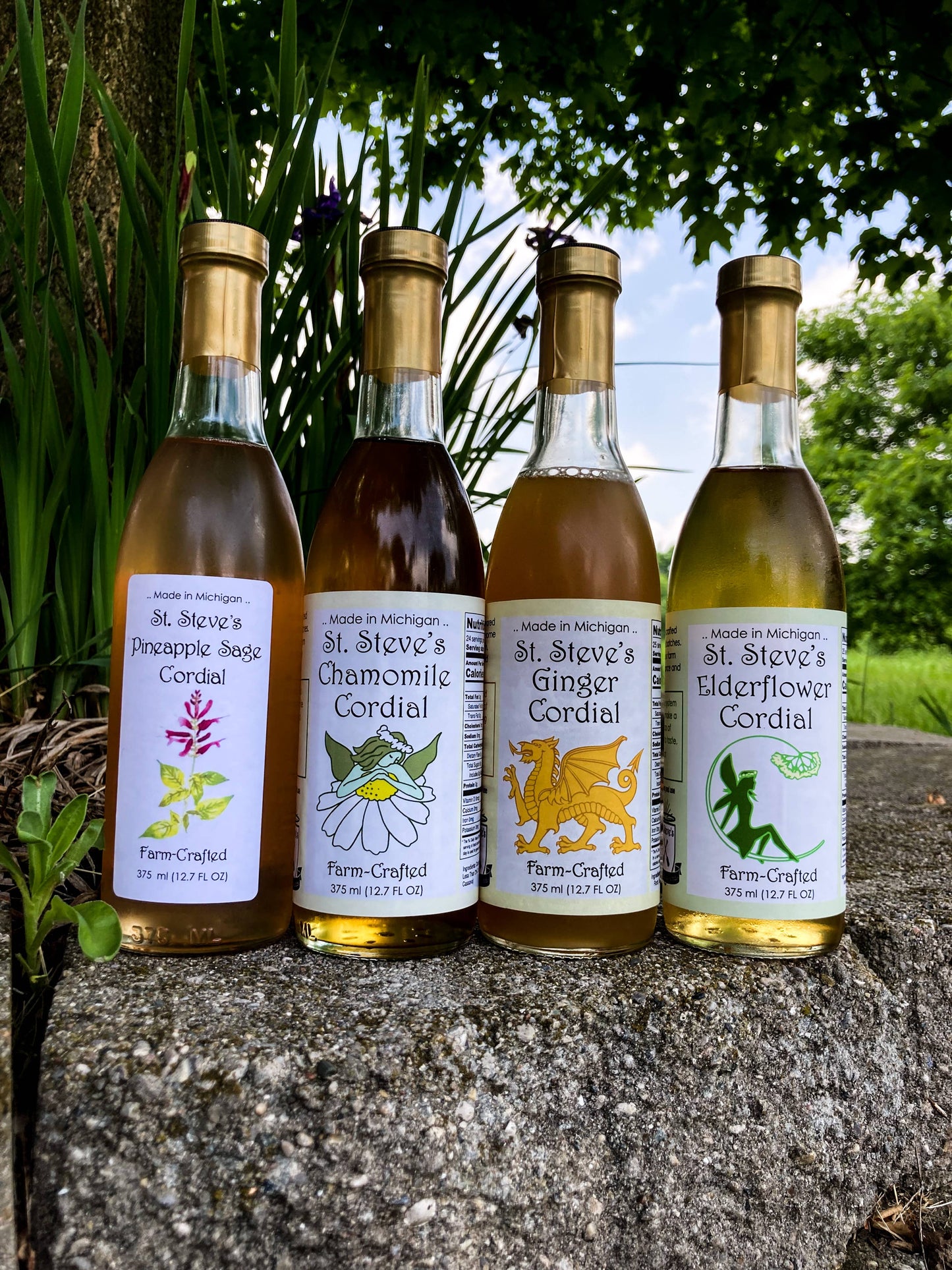 Farm-Crafted Natural Flavor Syrups by St. Steve's